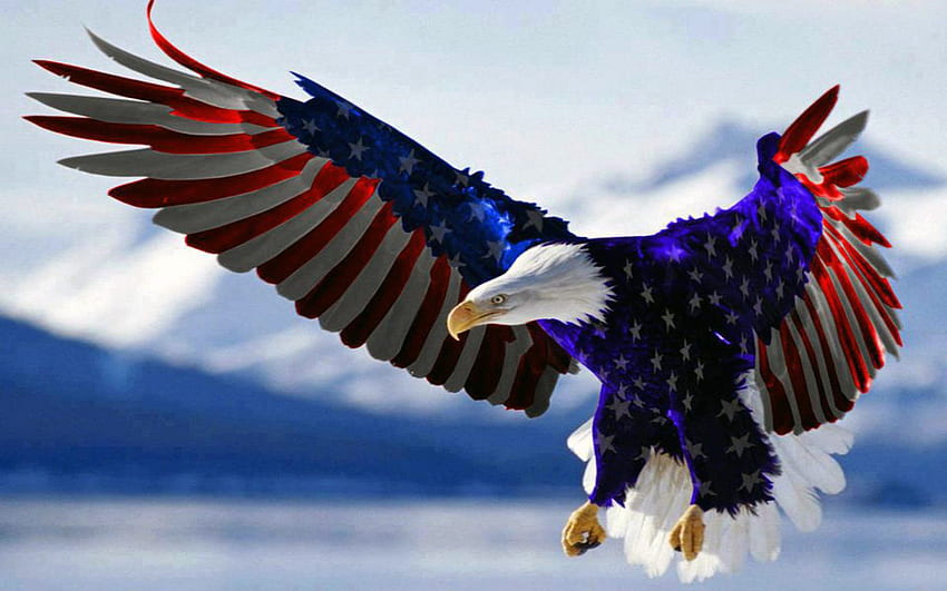 Weißkopfseeadler der amerikanischen Flagge HD-Hintergrundbild