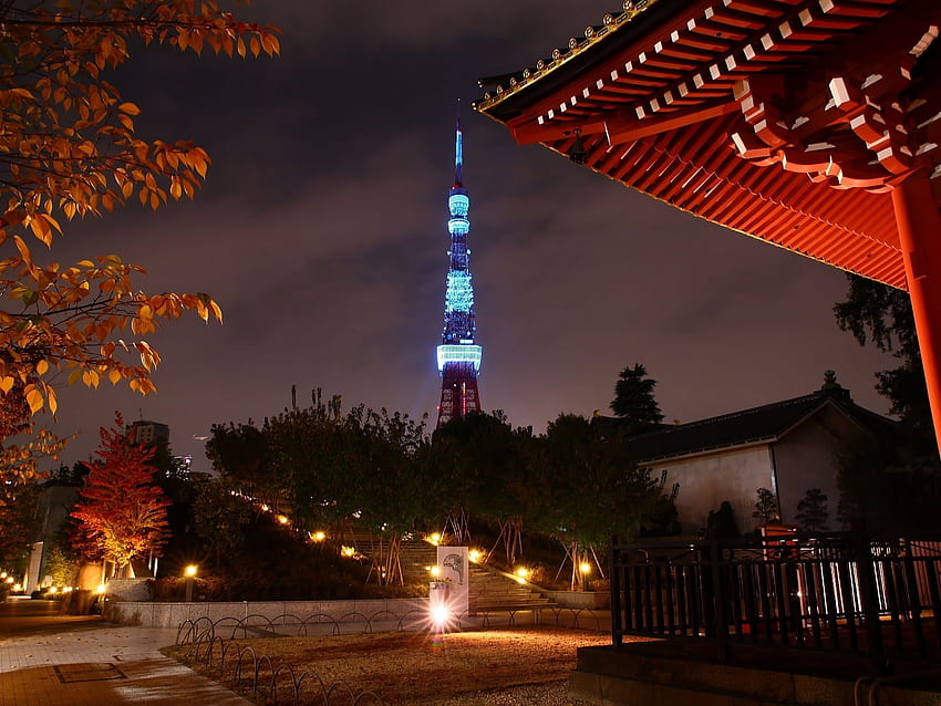 Japon, Tokyo, arbres, paysages urbains, tour, japonais, lumières de la ville, Tokyo Fond d'écran HD