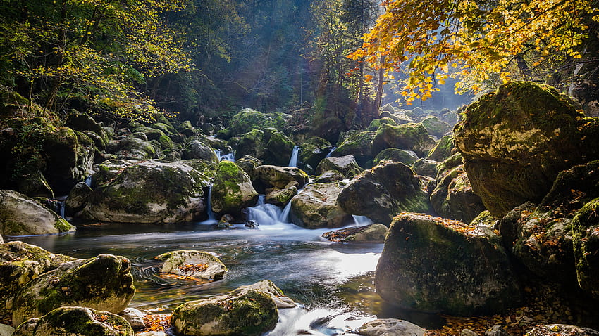 ทิวทัศน์ธรรมชาติที่สวยงาม สาหร่ายปกคลุม หิน สีเหลือง สีเขียว ฤดูใบไม้ร่วง ต้นไม้ ป่า น้ำ ลำธาร แสงแดด ธรรมชาติ วอลล์เปเปอร์ HD