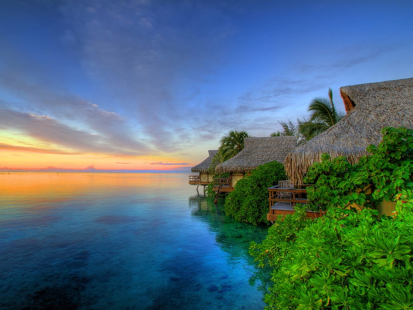 Puesta de sol sobre Moorea, azul, tahití, paisaje marino, nubes, árboles, naturaleza, cielo, puesta de sol, océano fondo de pantalla