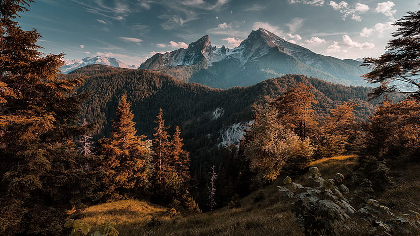 Forest Mountains Auflösung, Voll, Mountain HD-Hintergrundbild