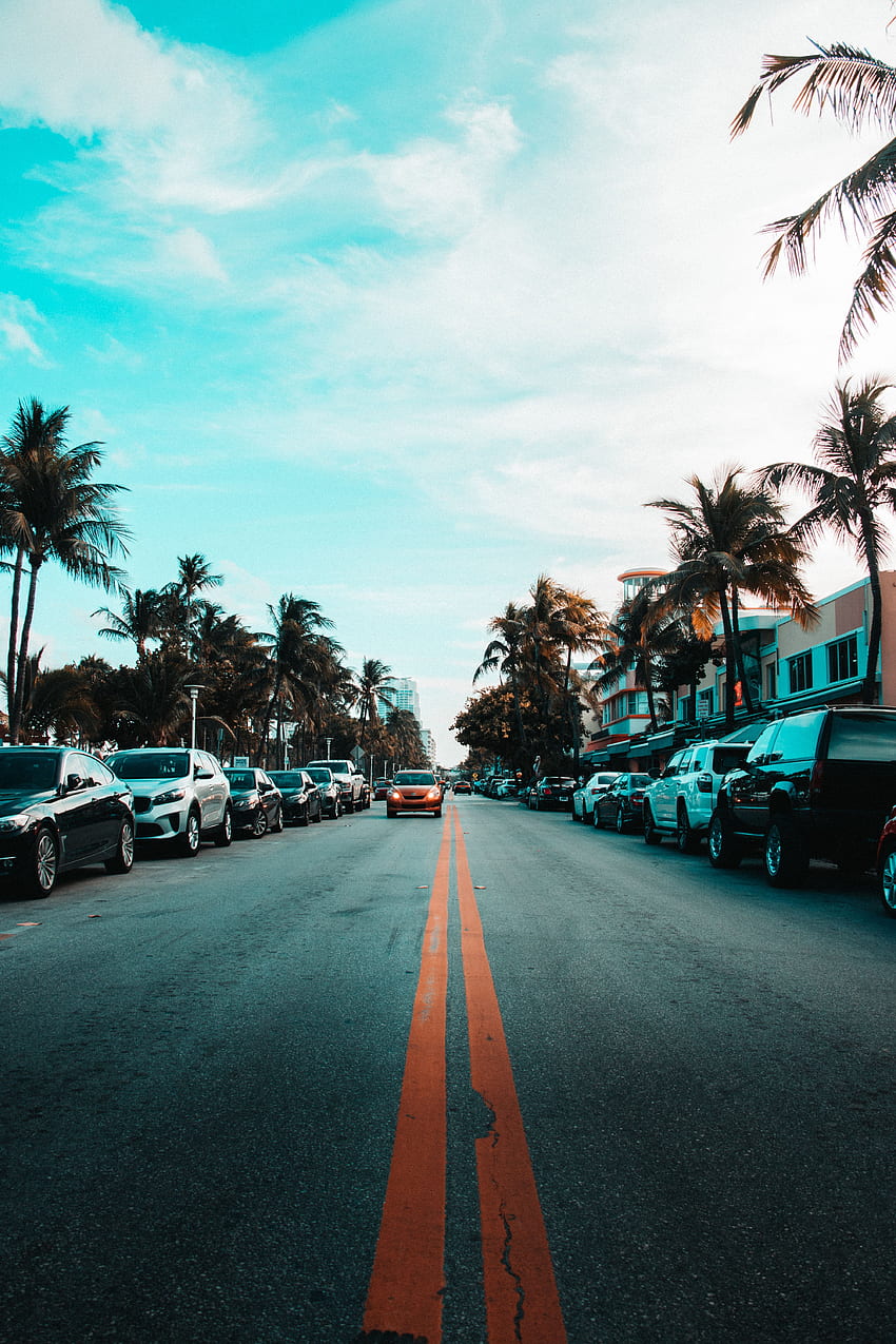 Miasta, niebo, palmy, samochody, droga, znaczniki Tapeta na telefon HD