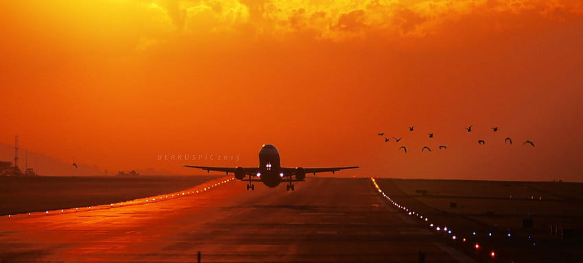 plane landing on sunset HD wallpaper