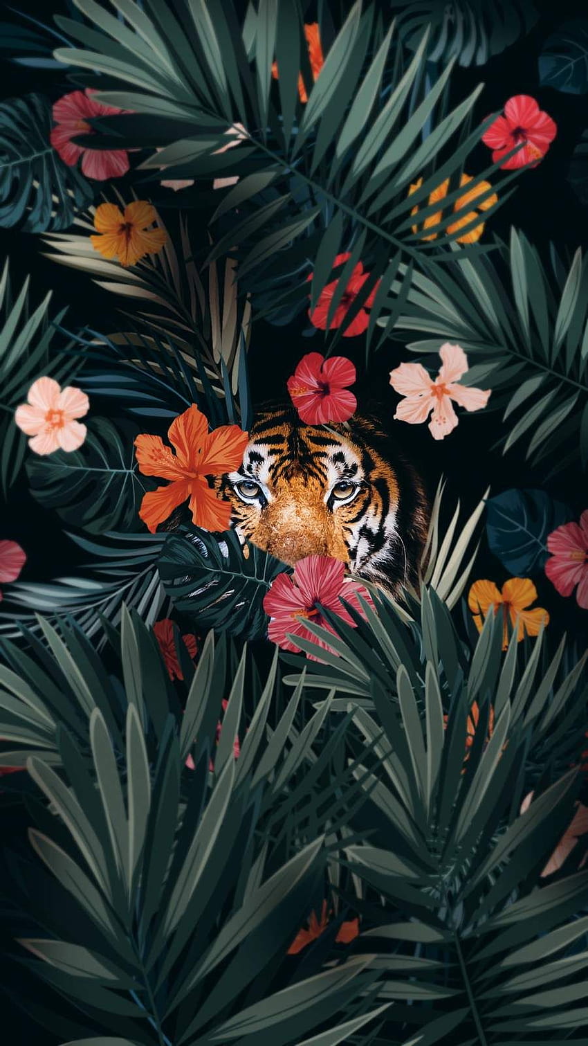 Tygrys ukrywa iPhone'a. Kot telefon , Zwierzęta , Sztuka, Kot Art 8 iPhone Tapeta na telefon HD
