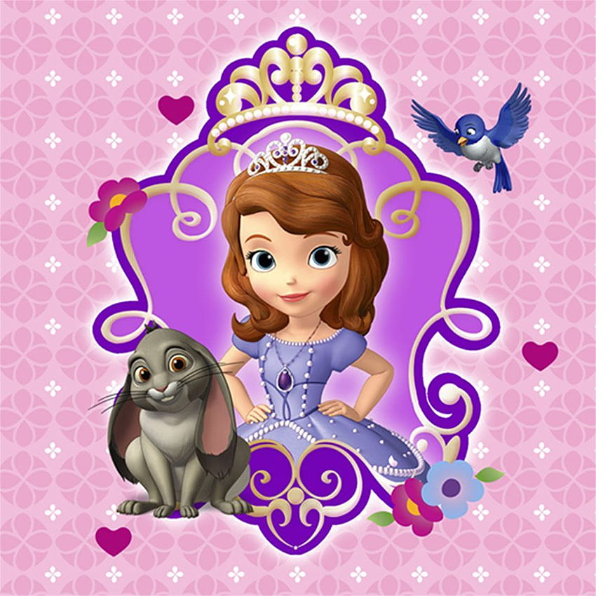 sofia the first | Disney princess sofia, Sofia the first birthday party,  All disney princesses