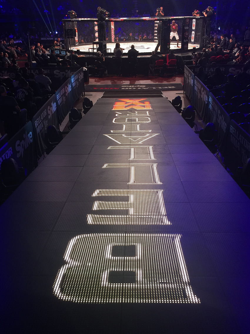 The beginning of the yellow brick road. bellator mma ramp to the cage. Mma, Battle ground, Yellow brick road, UFC Cage HD phone wallpaper