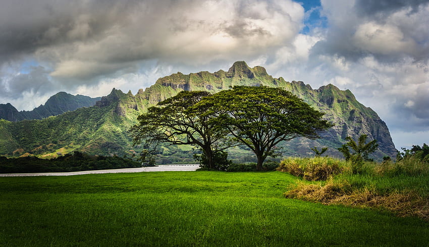 Landscapes: Hawaii Scenery Nature Oahu Grass Clouds Mountains HD wallpaper