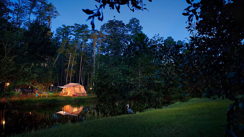 Disney's Fort Wilderness Resort & Campground Kicks Off Spring with Campsite Offer. Disney Parks Blog, Spring Camping HD wallpaper