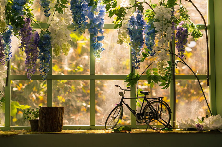 꽃, 기타, 기타, 창, 작은 조상, 자전거 HD 월페이퍼