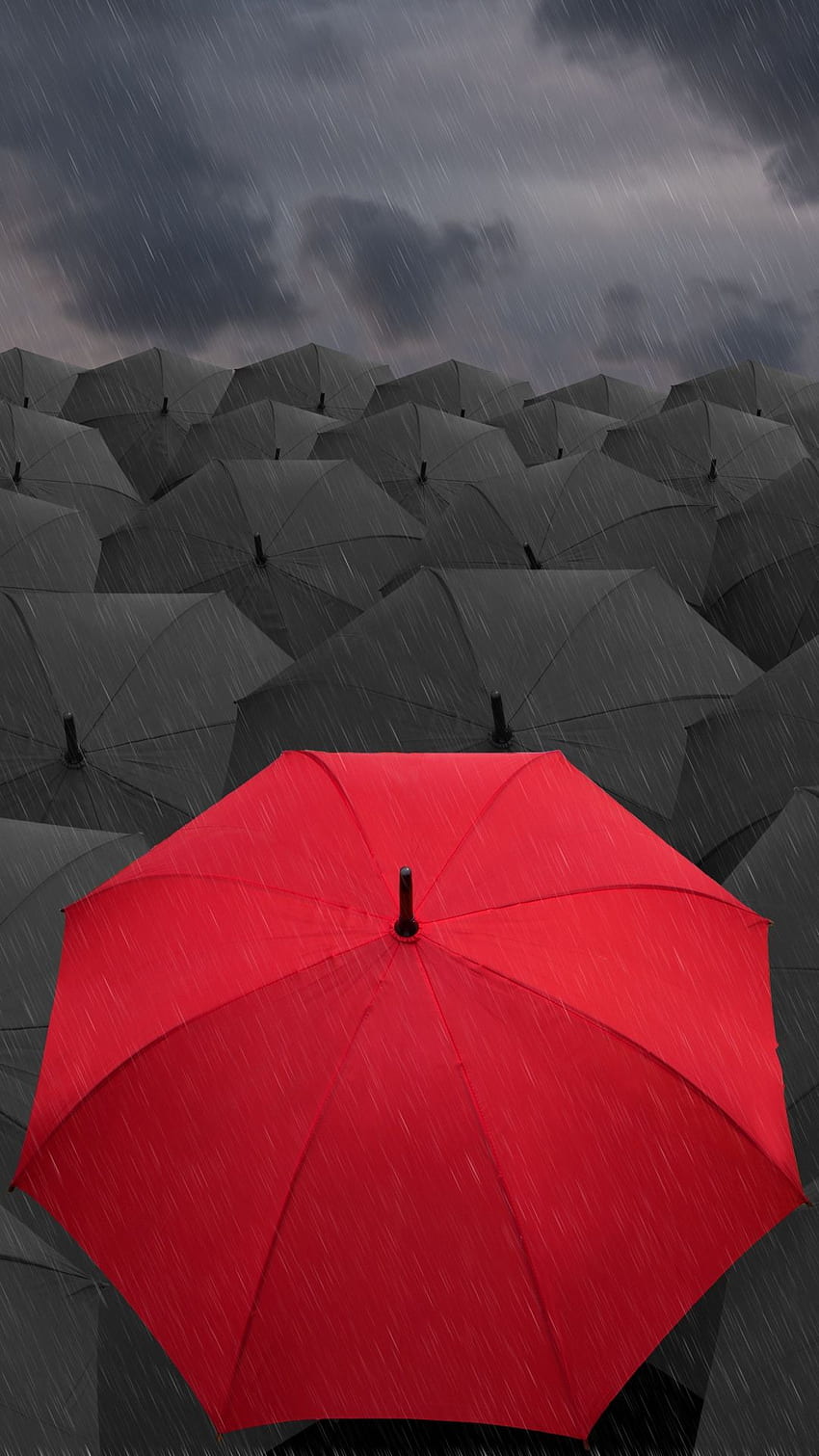 Umbrellas Rain Gray Red HD phone wallpaper