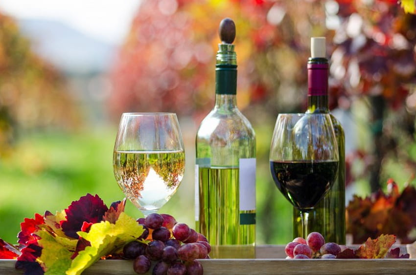 Wein, Bokeh, Herbstpracht, Herbst, Flaschen, Gläser, Herbst, Früchte HD-Hintergrundbild