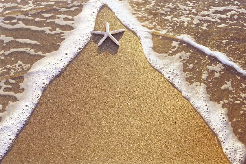 Nature, Sea, Sand, Starfish, Foam, Triangle HD wallpaper