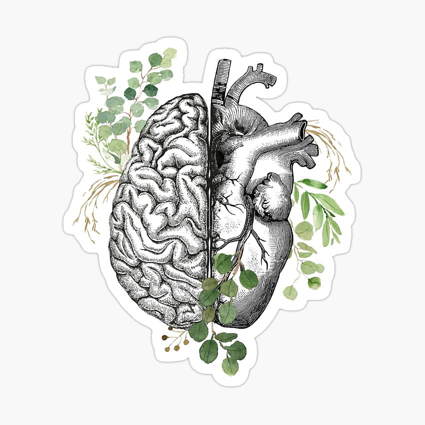 뇌와 심장 사이의 올바른 균형, 유칼립투스 잎, 정신 건강 포스터, 뇌 대 심장 HD 전화 배경 화면