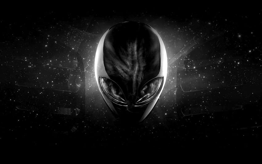 Cool Alien, Cool Xenomorph HD wallpaper