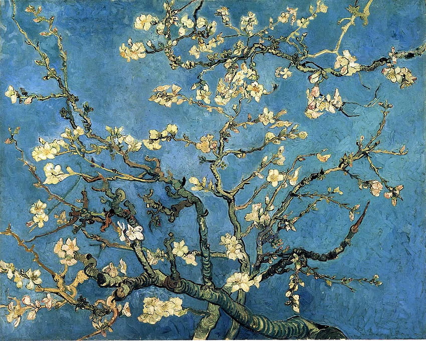 아몬드 꽃이 있는 가지 - Vincent Van Gogh, Van Gogh 아몬드 꽃 HD 월페이퍼