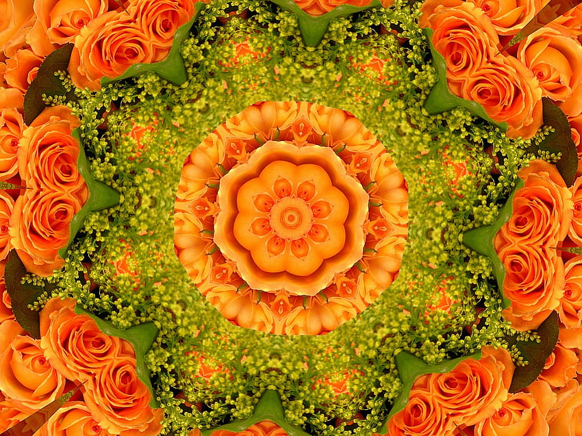 Orange Roses, roses, flower, nature, fractal, collage HD wallpaper