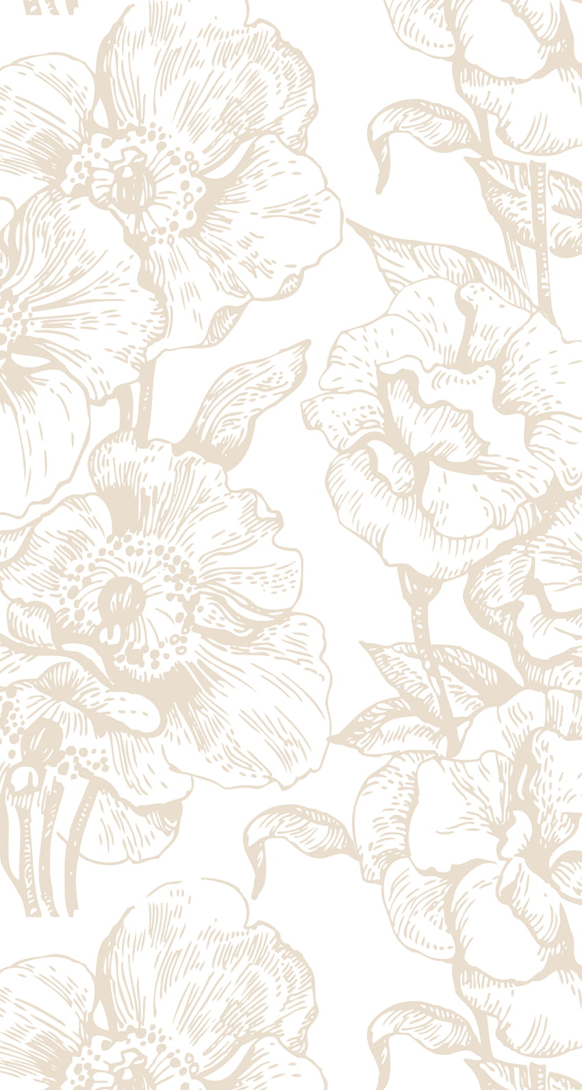 Blumig und zart. Blumentelefon, iPhone, weißes Muster HD-Handy-Hintergrundbild