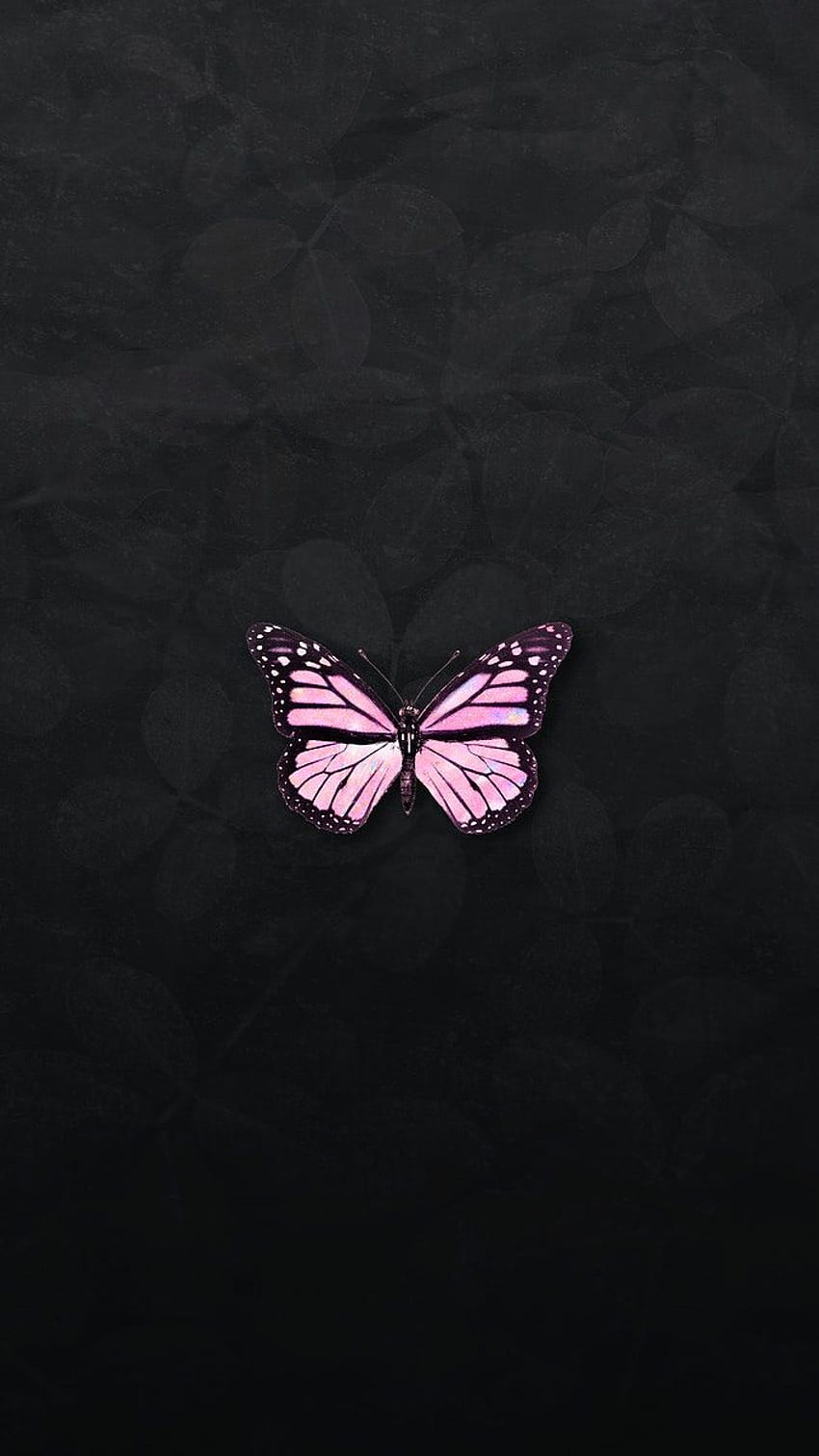 Ästhetischer Schmetterling Lila, schwarze und lila Schmetterlinge HD-Handy-Hintergrundbild
