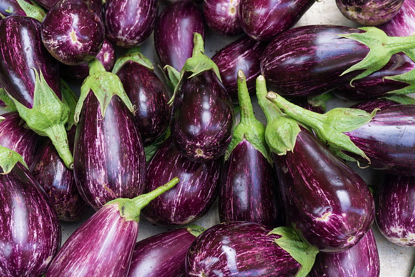 stock of aubergine, background, color, Eggplant HD wallpaper