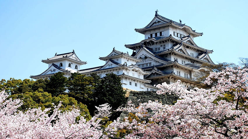 Himeji Castle and Background, Japanese Castle HD wallpaper