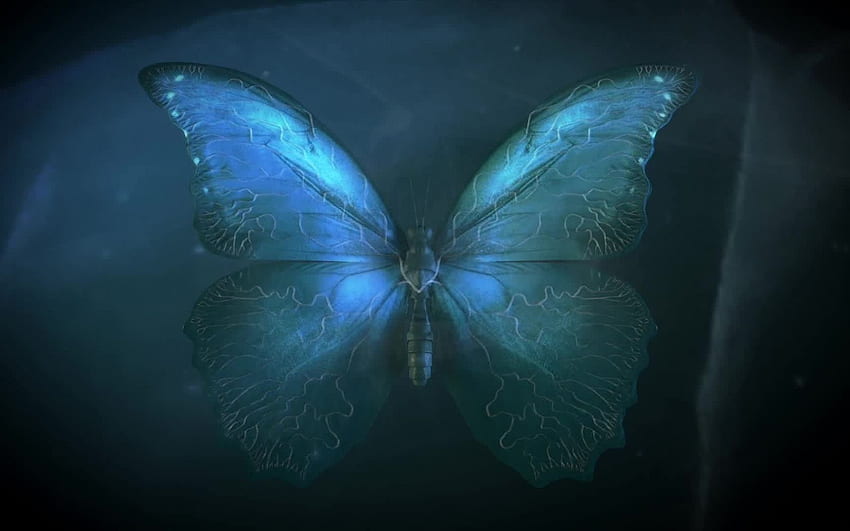Schmetterlingseffekt 30 Kollektionen HD-Hintergrundbild