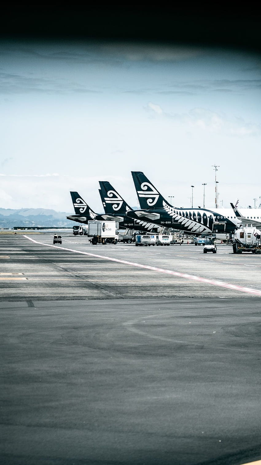 에어뉴질랜드 항공 공항 HD 전화 배경 화면