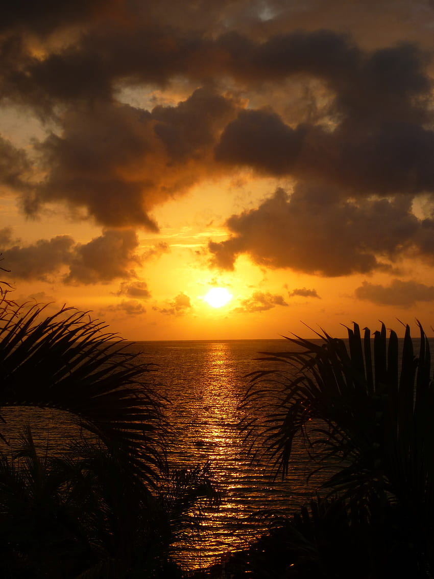 Nature, Sunset, Leaves, Sea, Sun, Twilight, Clouds, Reflection, Dusk HD ...