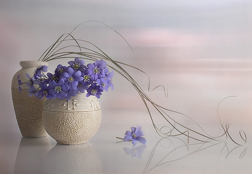 Niebieskawo-fioletowy, fioletowy, wazon, piękny, kwiaty Tapeta HD