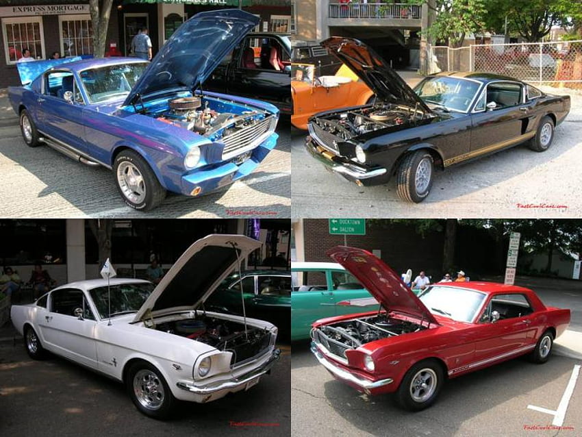 Mustang klasik, ford, ford mustang, pony car, mustang Wallpaper HD