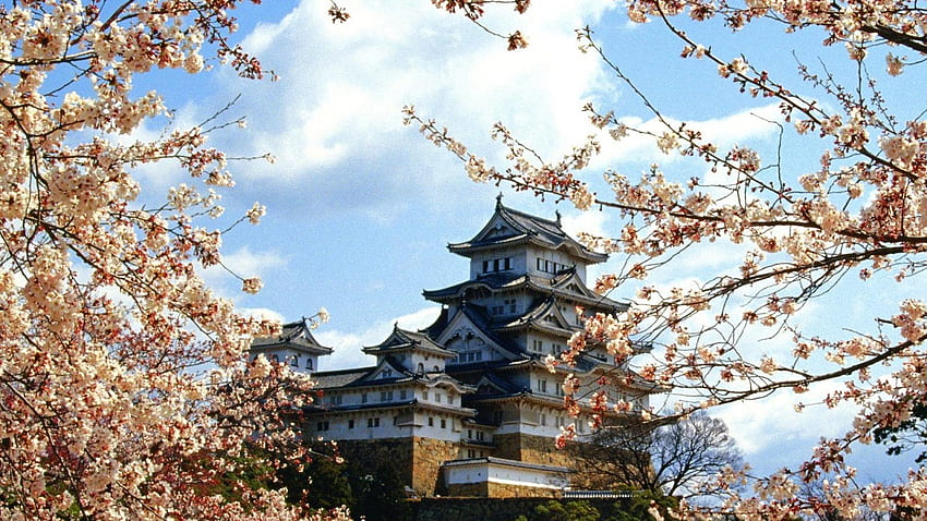 Japan nature cherry blossoms buildings castle himeji HD wallpaper