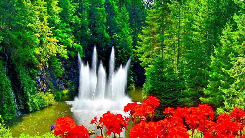 Fuente lindo rojo al aire libre agradable frescura naturaleza verde hermosos colores flores agua. fondo de pantalla