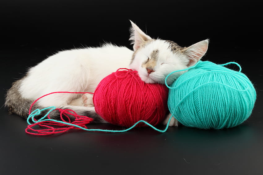 Animals, Cat, Playful, Thread, Threads, Dream, Sleep, Clew HD wallpaper