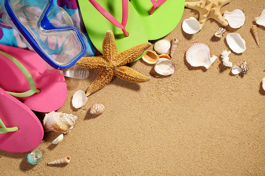 Лятна ваканция, морски звезди, лято, аксесоари, миди, пясък, плаж HD тапет