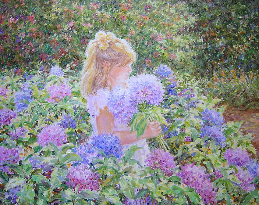 甘い紫陽花、あじさい、かわいい、紫、ピンク、柔らかい、花、女の子 高画質の壁紙