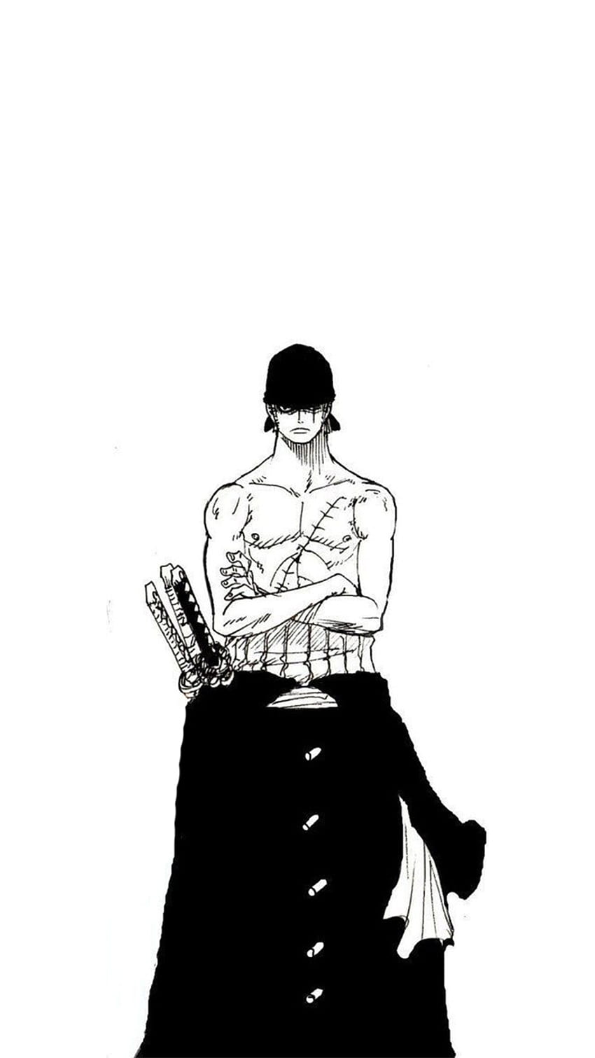 Zoro PFP  Anime, Roronoa zoro, One piece manga