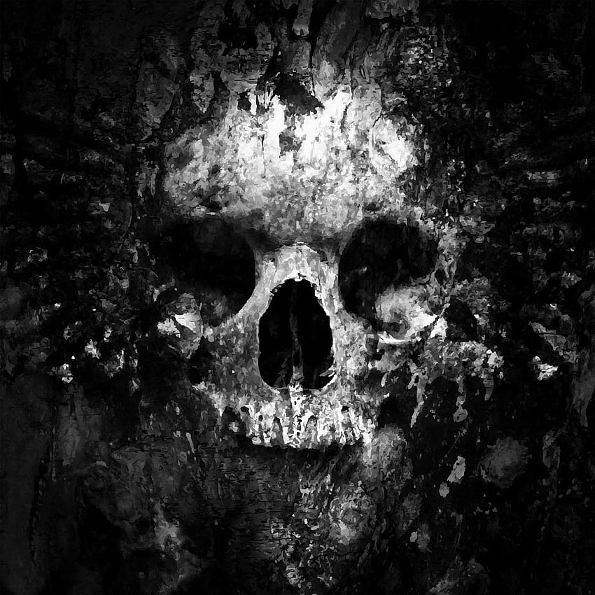 해골 얼굴 방주 페인트 미술 Bw 어두운 HD 전화 배경 화면