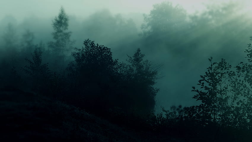 Тъмна природа - Тъмнозелена естетика HD тапет