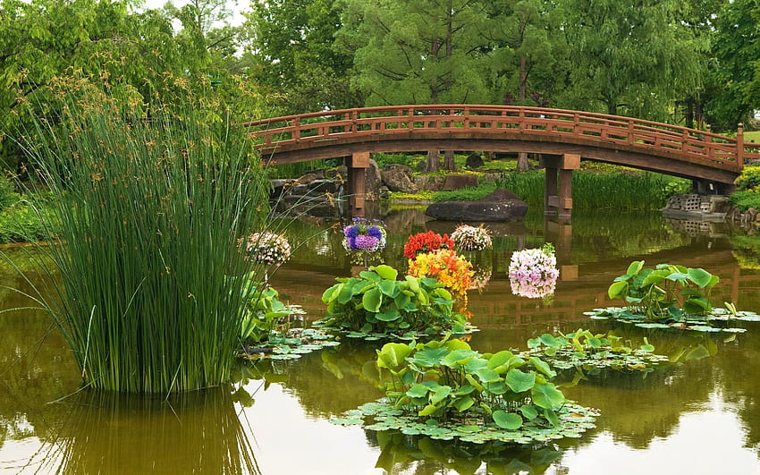 Other: Japanese Garden Flowers Bridge Pond Water Blossoms Plants HD wallpaper