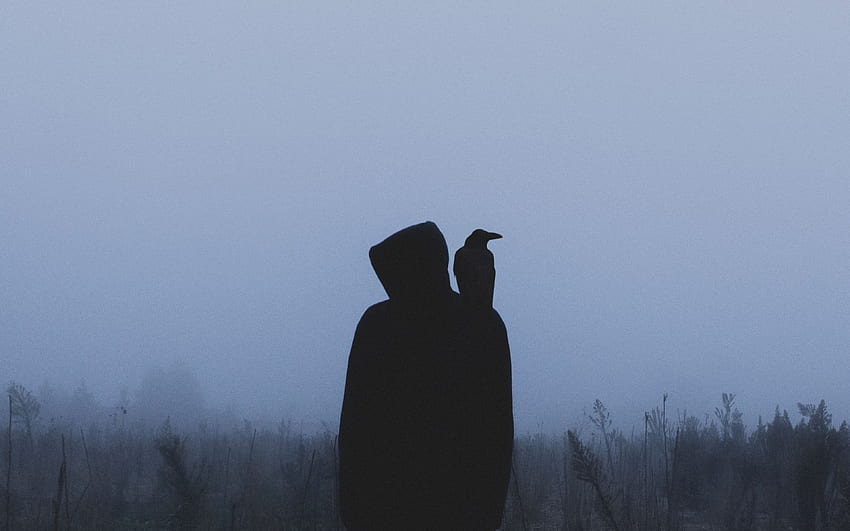 silhouette, crow, hood, loneliness, The Crow HD wallpaper