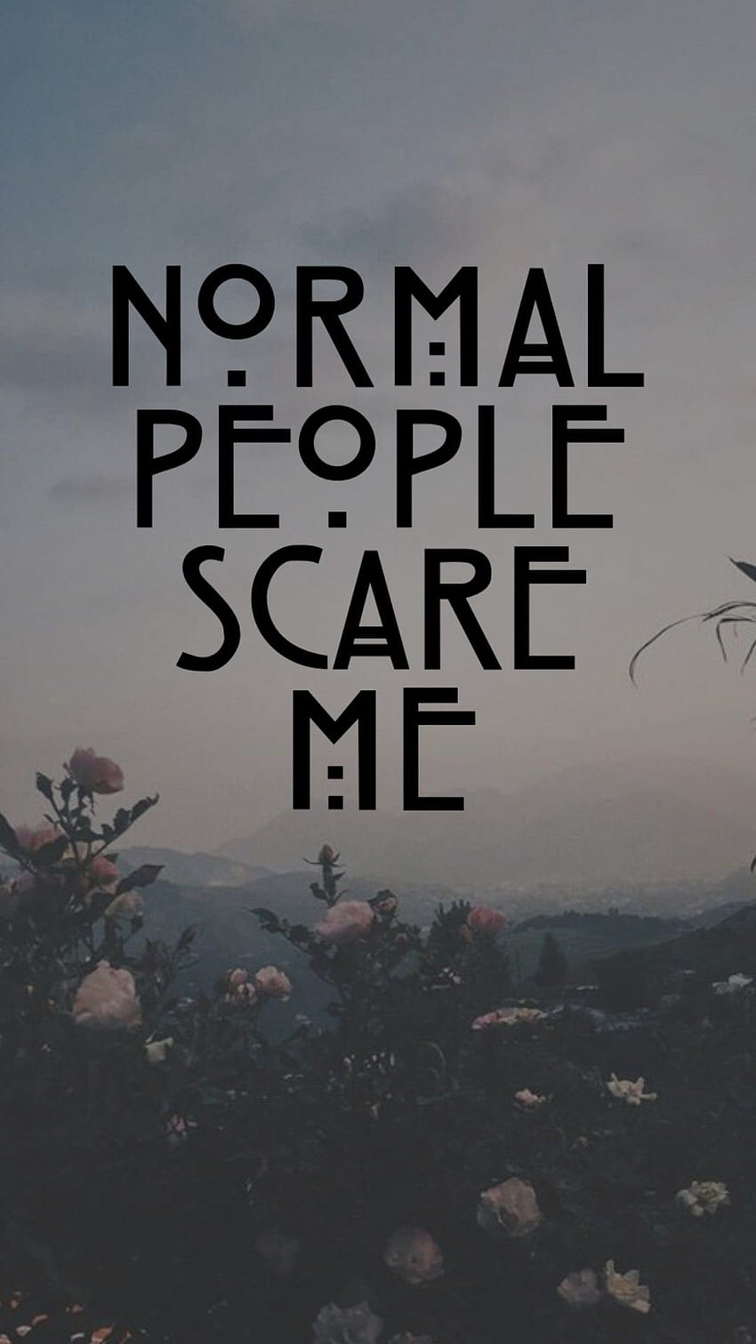 Aesthetic Normal People Scare Me - & Background HD phone wallpaper