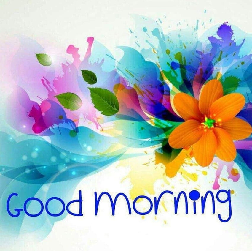 굿모닝에 출연한 애슐리 영. 좋은 아침 꽃, 좋은 아침, 좋은 아침, 아름다운 좋은 아침 HD 월페이퍼