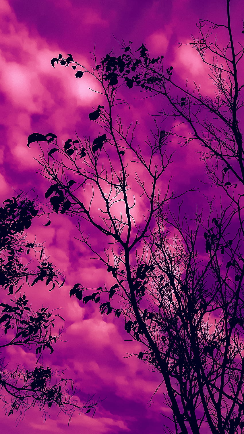 Pink purple blue aesthetic HD wallpapers | Pxfuel