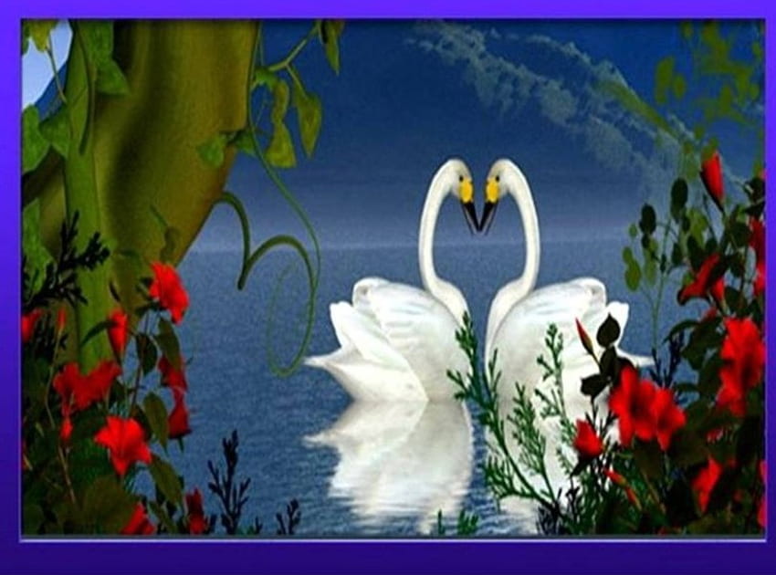 Cisnes románticos, cisnes, arte, marco, flores, lago fondo de pantalla