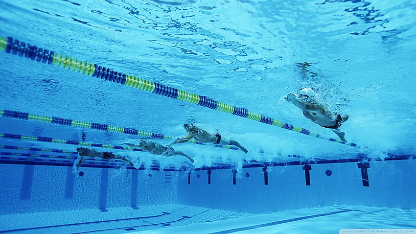 Berenang - , Latar Berenang di Kelelawar, Berenang Olimpiade Wallpaper HD