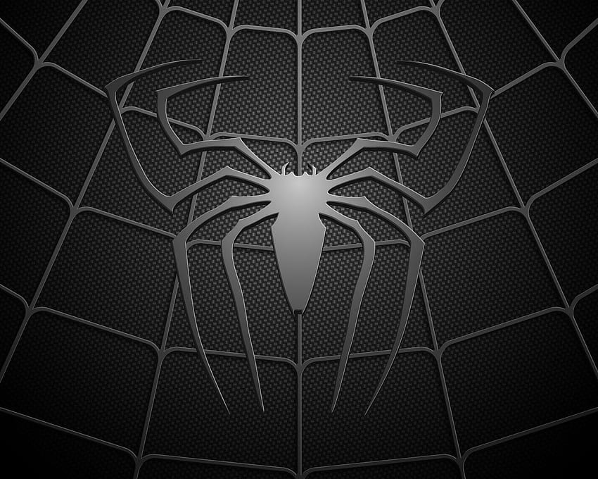 Spider Man und Hintergrund, Spider-Man-Netz HD-Hintergrundbild