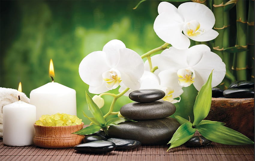 spa composition with bamboo and white orchids HD wallpaper