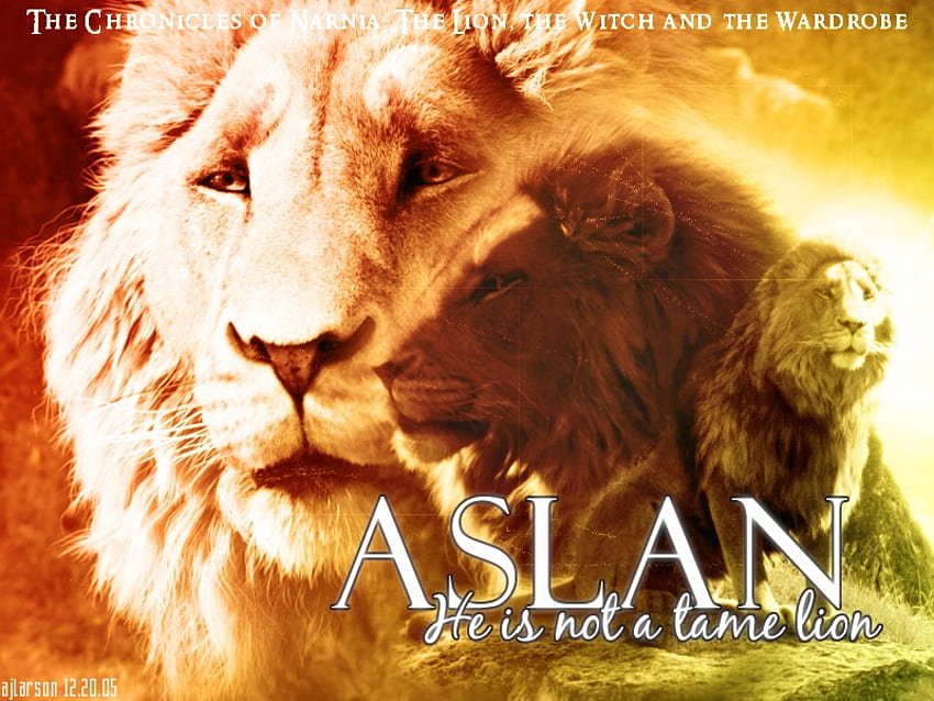 Narnia, aslan, lion, HD phone wallpaper