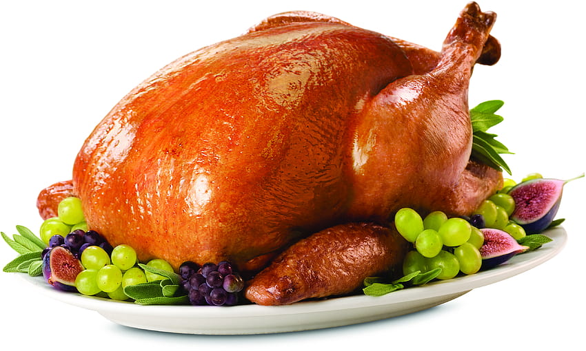roast turkey png