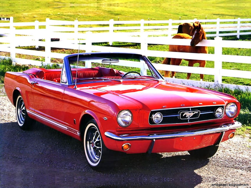 Red Ford Mustang Convertible, 1965 Mustang HD wallpaper
