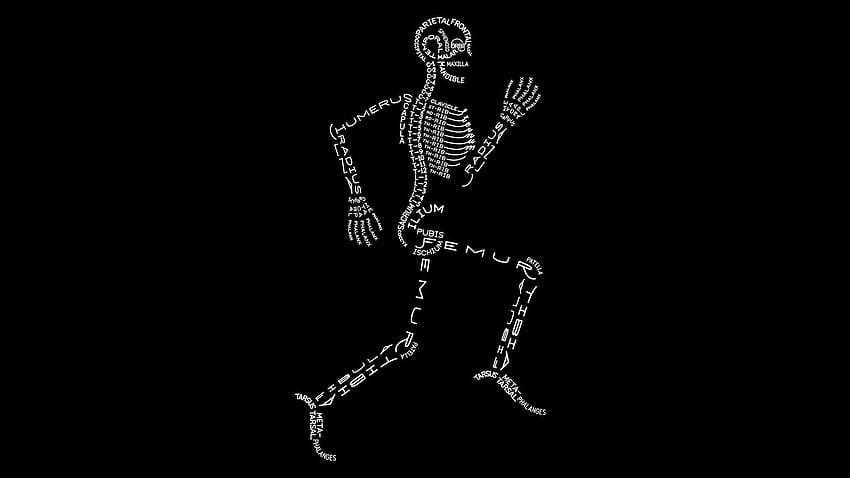 骨格、人間の骨格 高画質の壁紙
